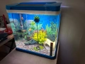 Аквариуми 4 броя, снимка 8