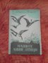 Алекси Петров, Нашите ловни птици 1950, снимка 1 - Специализирана литература - 37402731