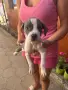 Две момичета с две ваксини и паспорт!, снимка 4