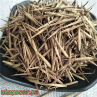 100 броя семена от декоративен бамбук Moso Bamboo зелен МОСО БАМБО за декорация и дървесина, снимка 8 - Сортови семена и луковици - 37711749