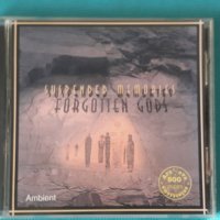 Suspended Memories(feat.Steve Roach) – 1992 - Forgotten Gods(Tribal,Ambient), снимка 1 - CD дискове - 42754365