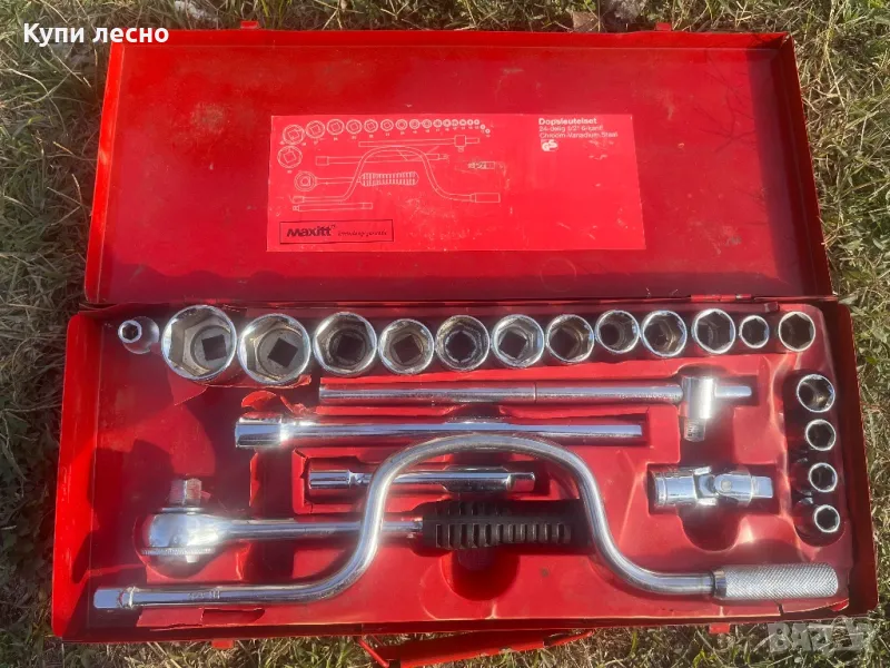 Гидория немска, снимка 1