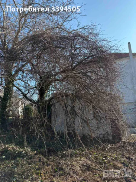 Почистване косене на дворни места парцели, снимка 1