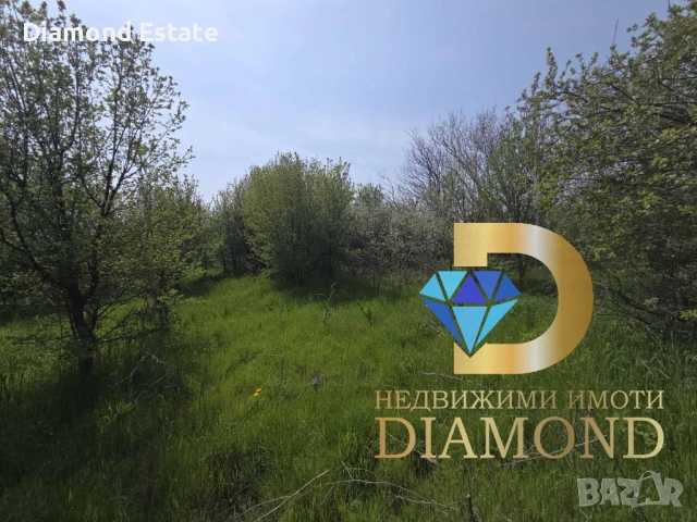 Стара къща с парцел в село Голямо Асеново, общ. Димитровград, снимка 2 - Къщи - 54187445