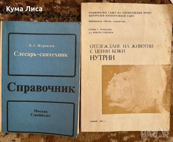 Езотерика, диети, рецепти, самопомощ, психология, тайни, загадки, конспирация, снимка 9 - Езотерика - 53832481