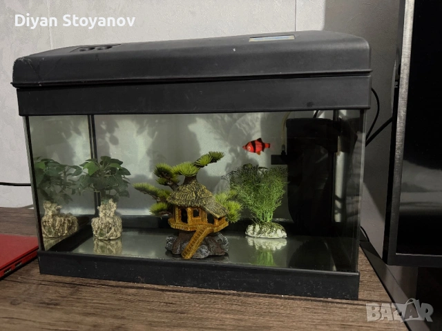 Аквариум 22 литра