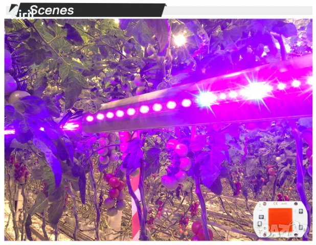  Растеж на растенията LED плочка за монтаж фито лампа 10 вата 20 вата 30 вата 50 вата 220 волта, снимка 16 - Оранжерии - 31573963