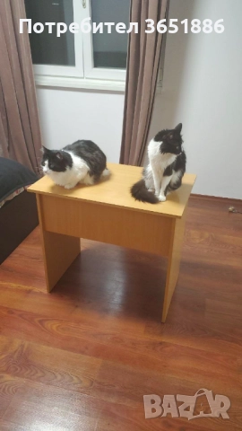 Бюро, снимка 3 - Бюра - 52434614