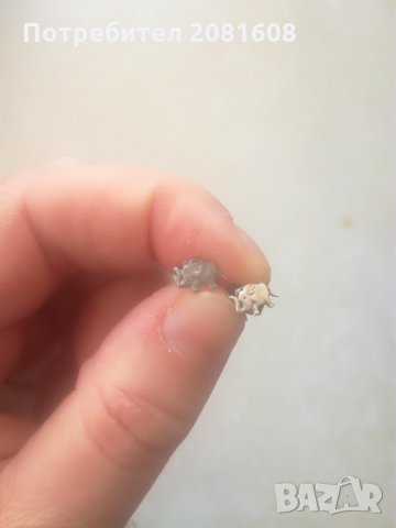 Обици сребърни , снимка 4 - Обеци - 31837093