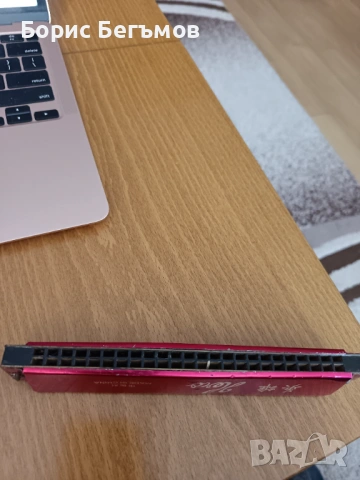 Хармоника, снимка 2 - Други музикални жанрове - 53237931