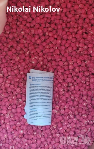 Царевица семе , снимка 2 - Сортови семена и луковици - 54335432