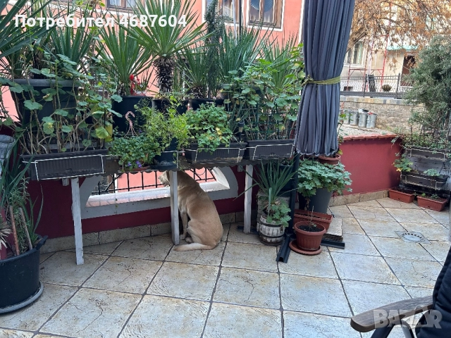 Къща в Стария град Пловдив, снимка 8 - Къщи - 52848909