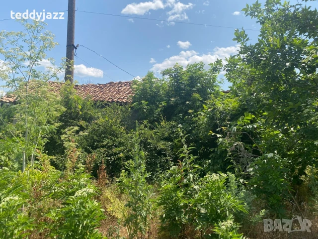 Къща с двор с.Ивански, снимка 7 - Къщи - 50662159