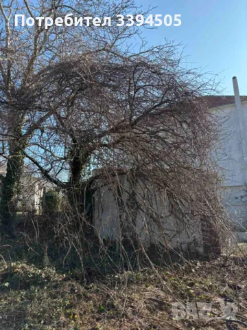 Почистване косене на дворни места парцели, снимка 1