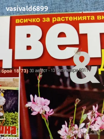 Списание "Цветя и дом" 30.08÷13.09/2011 , снимка 2 - Списания и комикси - 56317506