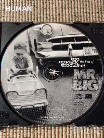Eric Clapton,MR.BIG, снимка 14 - CD дискове - 40073917