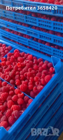 Продавам малини херитидж , снимка 4 - Други - 55723042