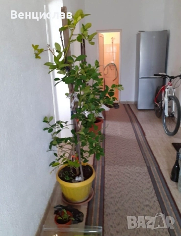 Продава се къща , снимка 9 - Къщи - 52978306