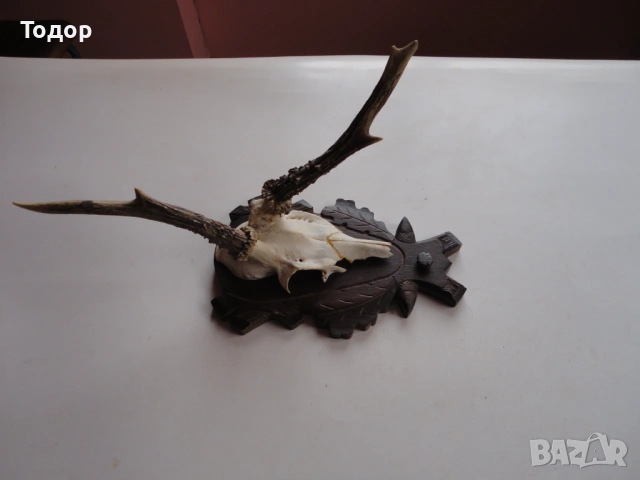 Ловен трофей рога дърворезба 14 , снимка 2 - Ножове - 54087359