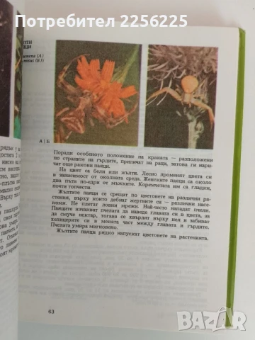 Атлас по зоология, снимка 2 - Специализирана литература - 51166042