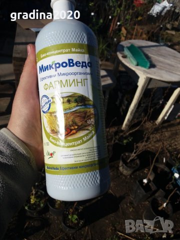 Ефективни микроорганизми на фирма МИКРОВЕДА, снимка 2 - Тор и почвени смеси - 37587034