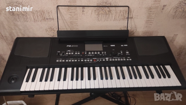 Korg PA 300