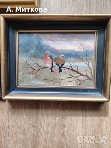 Продавам картини с маслени бои , рамкирани