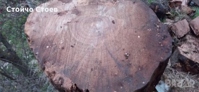 Орех труп и шайби от ореха, снимка 3 - Други - 35444412