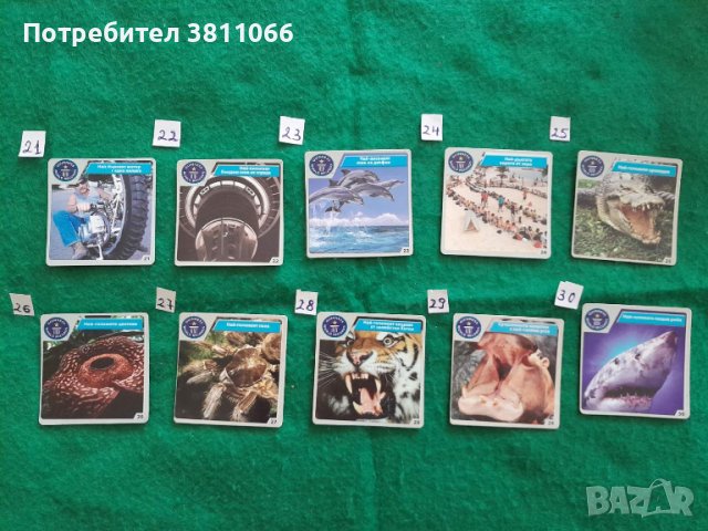 Record of Gines cards/ Карти от кроасаните чипикао-Рекордитe на Гинес, снимка 5 - Колекции - 44811370
