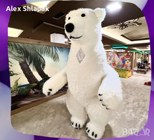 Голяма Бяла Мечка Варна за изненада, снимка 4 - Други - 47376264