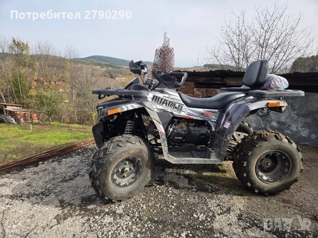 ATV Quablo RS10 200cc, снимка 11 - Мотоциклети и мототехника - 50982997