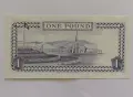 1 паунд UNC остров Ман , снимка 2