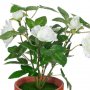 Изкуствена декоративна роза в саксия, 21 см, бяла, снимка 2