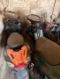 Части и платки за различни устройства, снимка 8