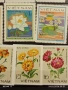 Стари пощенски марки чиста серия ЦВЕТЯ ВИЕТНАМ за КОЛЕКЦИЯ 52110, снимка 9