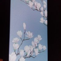 Кейс за iPhone 11, снимка 2 - Калъфи, кейсове - 29801741