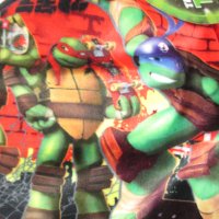 Нова детска зимна шапка TURTLES, 8-14 г., снимка 2 - Шапки, шалове и ръкавици - 34955128