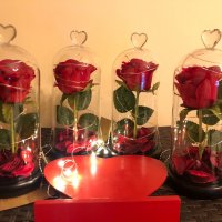 Стъкленица с вечна роза / Св.Валентин / Мече от вечни рози, снимка 1 - Други - 31676659