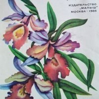 Орхидеи. Альбом для раскрашивания И. Разуваева, 1985г., снимка 1 - Специализирана литература - 30280287
