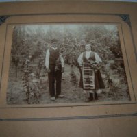 Стара фотография на картон "В градината" 1910г., снимка 4 - Други ценни предмети - 30475285