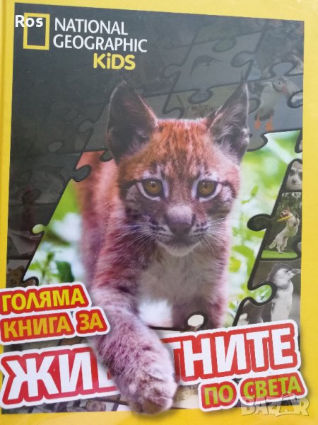 Голяма книга за животните по света National Geographic Kids, снимка 1