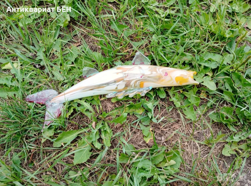 " СТЪКЛЕНА РИБА " 💯, снимка 1