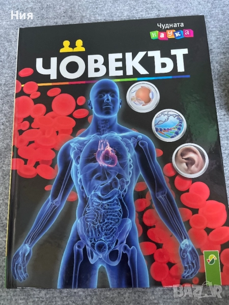 Човекът- книга за човешкото тяло, снимка 1