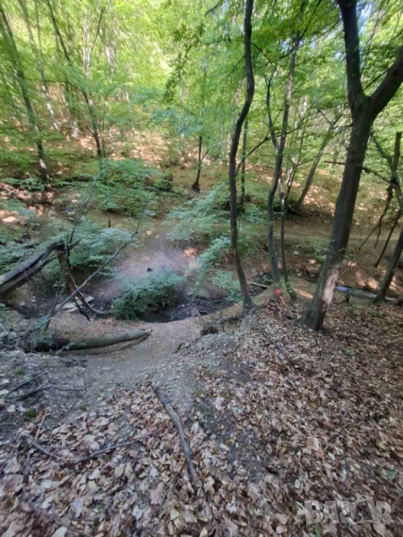  Продават се горски парцели в гр.Банкя, снимка 1