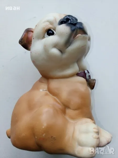 Куче касичка, снимка 1