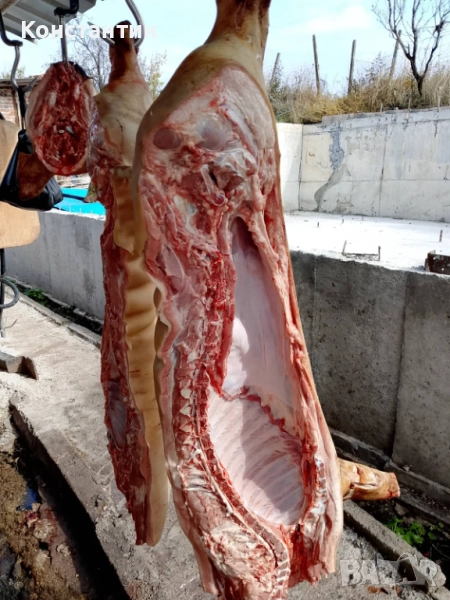 Свинско трупно пърлено на половинки, снимка 1