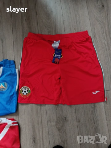 Лот футболни фланелки Левски,Borusia,България, снимка 10 - Футбол - 53305563