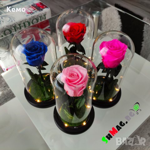 Вечна естествена роза в стъкленица, снимка 15 - Декорация за дома - 27657211