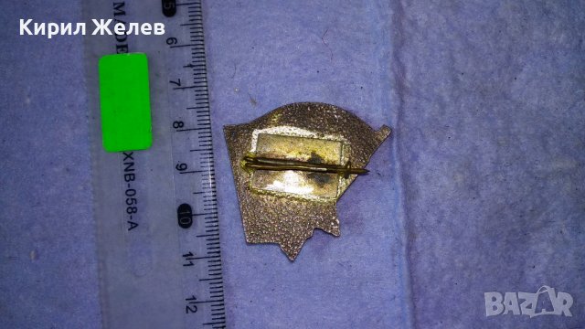 БПФК 1923-1944 Стара РЯДКА ЕМАЙЛИРАНА ПОСРЕБРЕНА БРОНЗОВА НРБ ЗНАЧКА 24870, снимка 8 - Колекции - 38465273