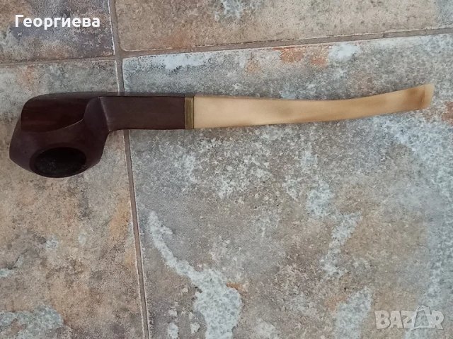 Лула светъл мущук, снимка 4 - Лули - 50338402